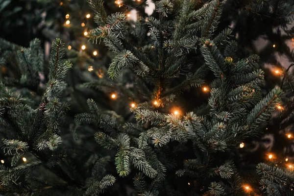 christmas tree with lights and bokeh background