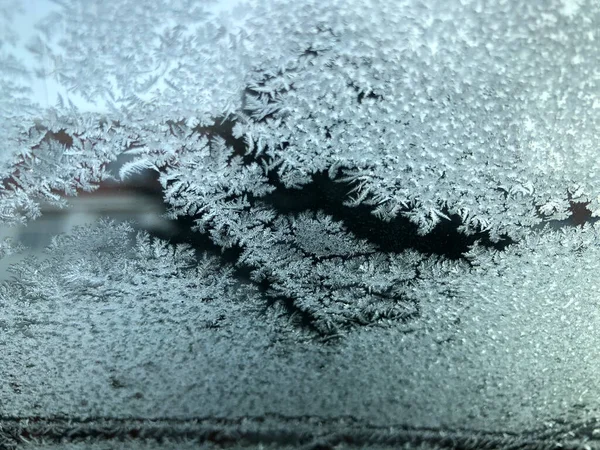 frozen snow on the window