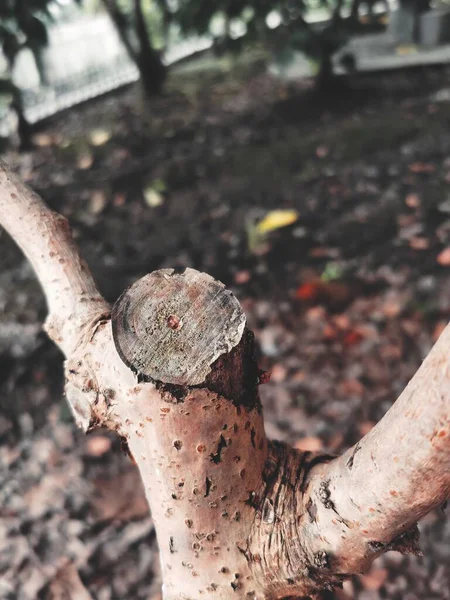 old rusty metal pipe with a white background