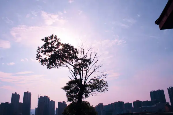 Stock image beautiful sunset over the city