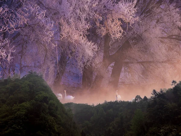 beautiful landscape with a waterfall