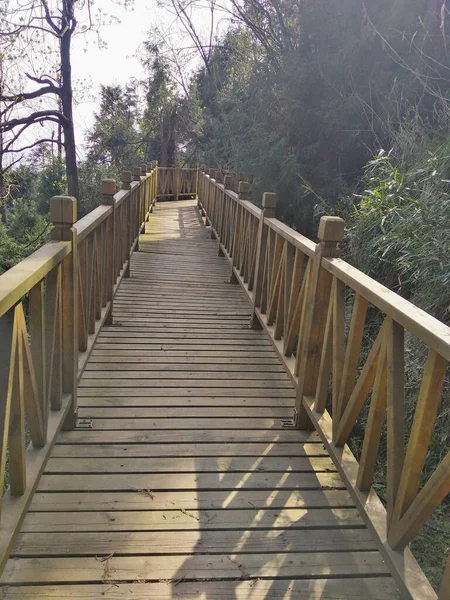 wooden bridge in the forest