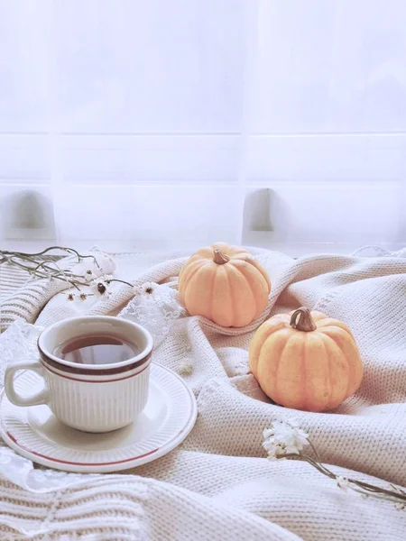 cup of tea with pumpkin and coffee on white wooden table