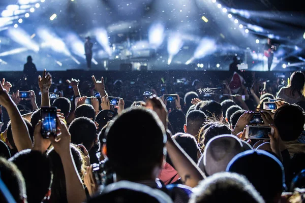 crowd of people at the concert