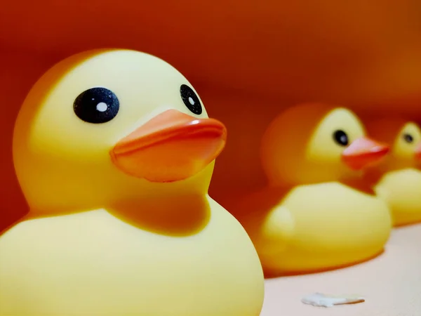 yellow duck with rubber ducks on the table