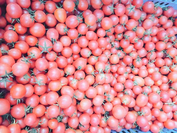fresh tomatoes on a market stall
