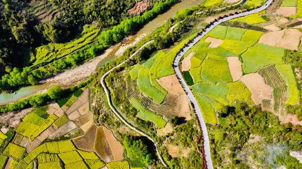 aerial view of rice fields in the valley of the village of the incas, vietnam