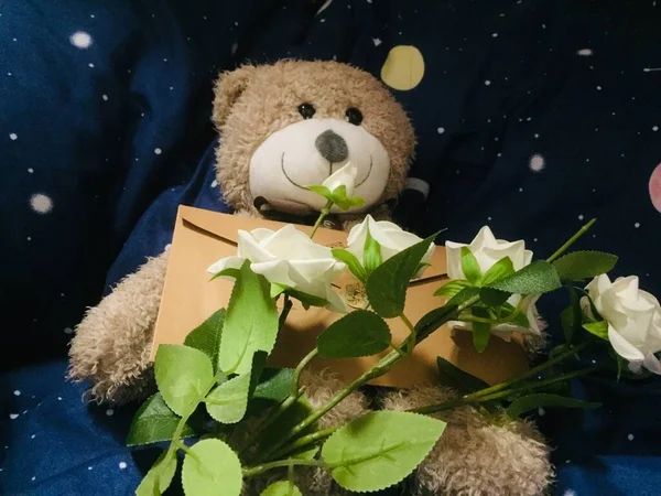 teddy bear with a gift on a black background