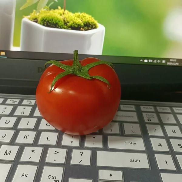 red tomato and a laptop on a white background