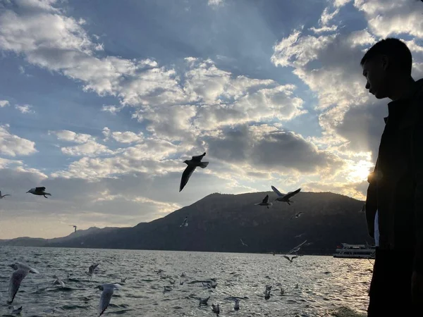 stock image beautiful view of the sea