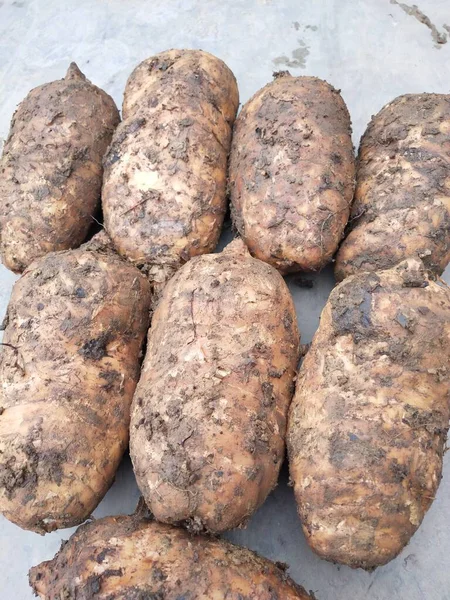 fresh raw potatoes on a white background