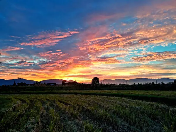 stock image beautiful sunset over the field