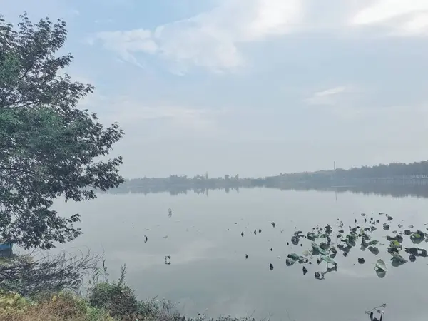 stock image beautiful landscape with a lake and a river