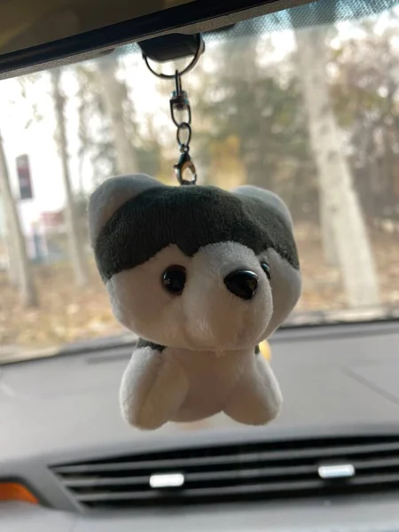 teddy bear in the car