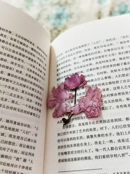 old book with a heart