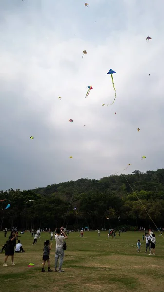 flying kite in the sky