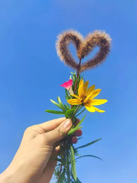 hand holding a flower in the hands of a woman