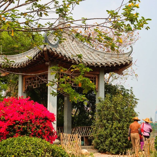 beautiful chinese garden in the park