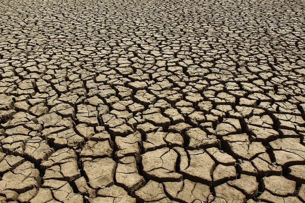 dry cracked ground, drought, earth, global warming, environment, environmental conservation concept