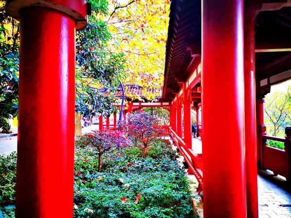 red and white japanese temple in the city of china
