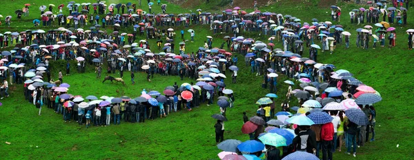 the crowd of people in the field