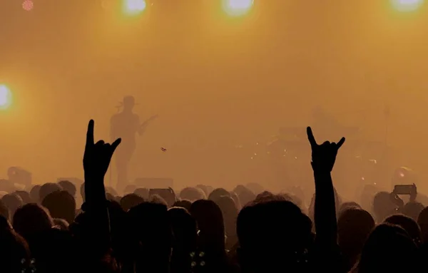 silhouettes of people at the concert