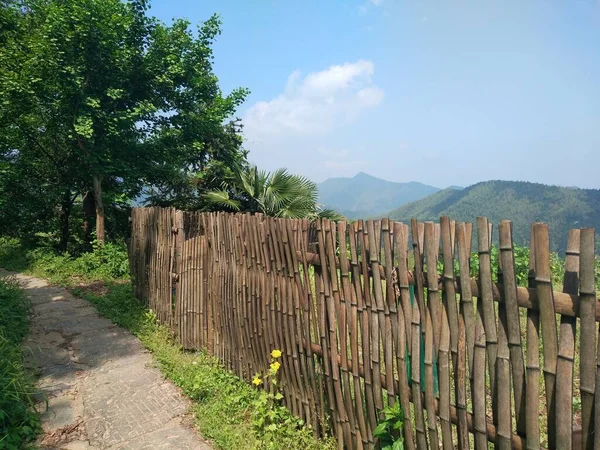 wooden fence in the forest