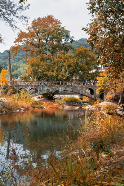 autumn landscape with trees and leaves