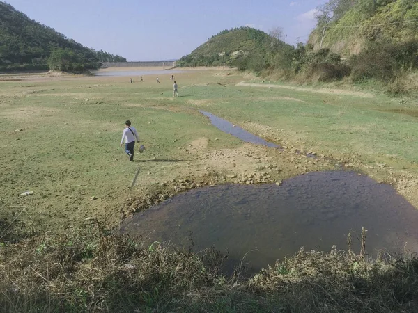 the man is walking in the field