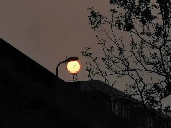 silhouette of a tree on the roof of the house