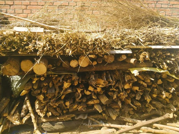 old wooden logs in the forest