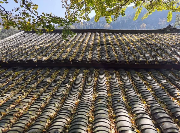roof tiles in the city of thailand