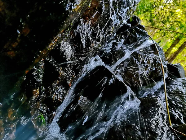 water drops on the rocks in the forest