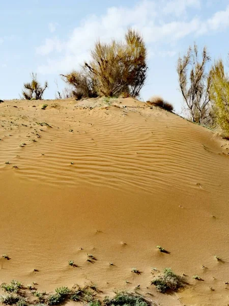 beautiful landscape of the desert in the north of the state of israel