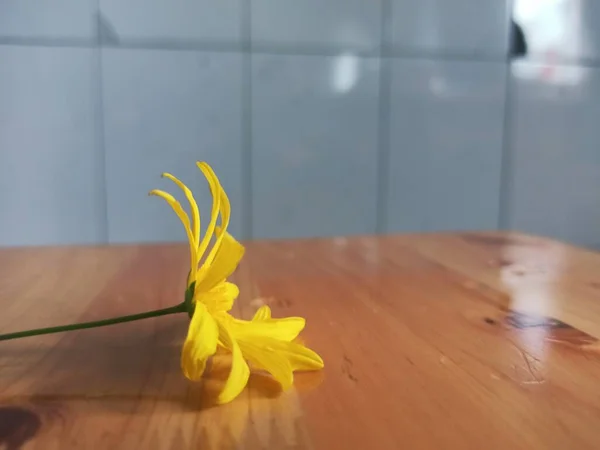 yellow flowers on wooden table