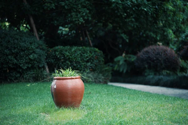 beautiful garden with a pot