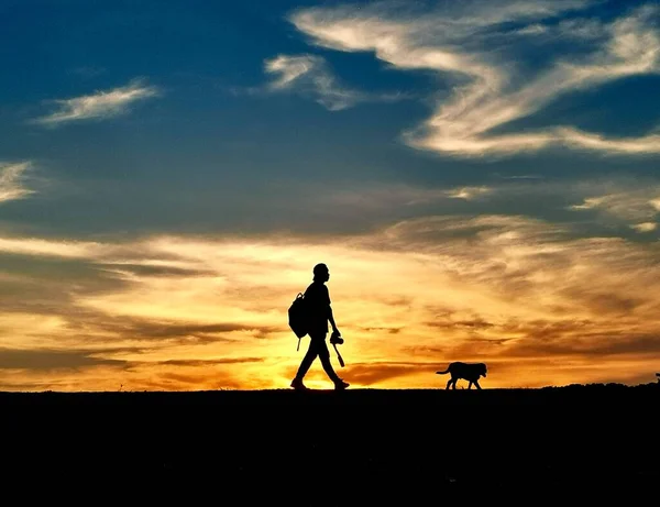 silhouette of a man and woman on the beach