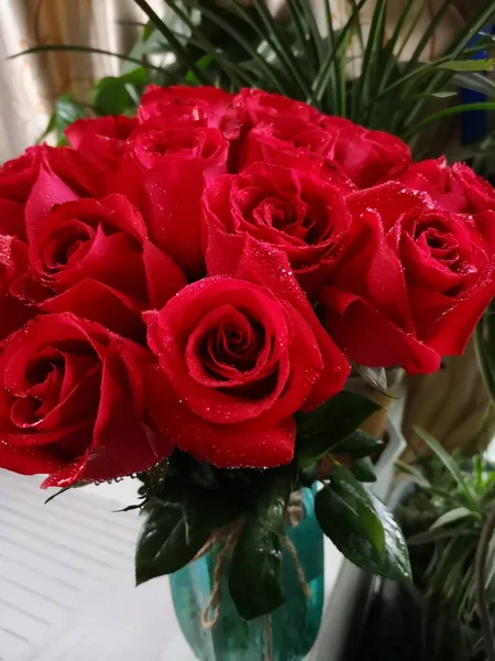 beautiful red roses in a vase on a white background