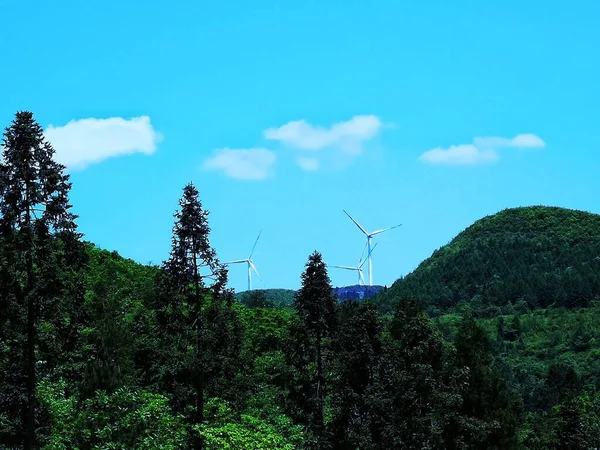 green power plant in the forest