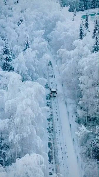 aerial view of the snow covered forest.