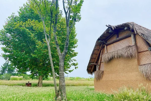 rural landscape with a wooden hut and a straw
