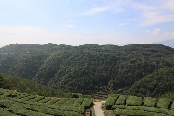 beautiful landscape of the valley in the mountains