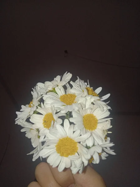 beautiful woman with flowers on black background