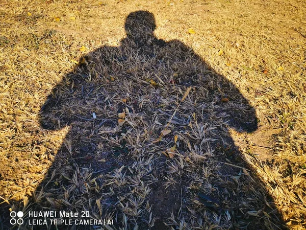 a closeup shot of a young man in a field with a large straw hat