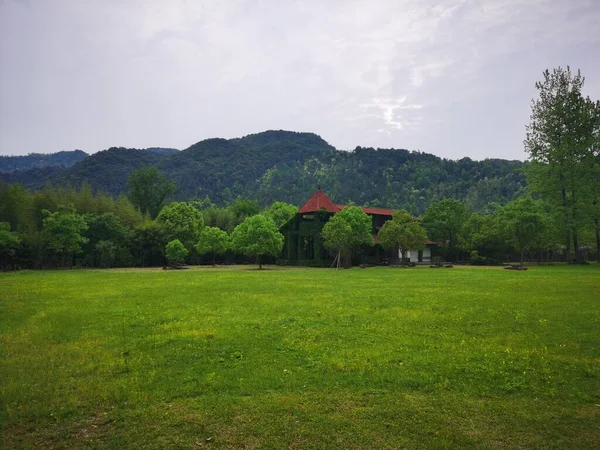 beautiful landscape with a house