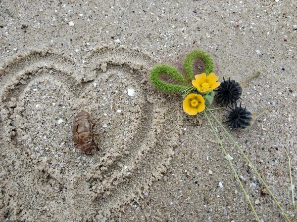 a beautiful view of a heart on the sand