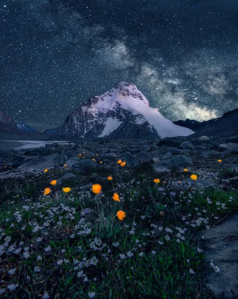 beautiful night sky with stars and mountains