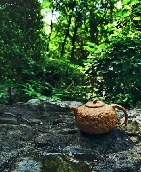 tea in the forest