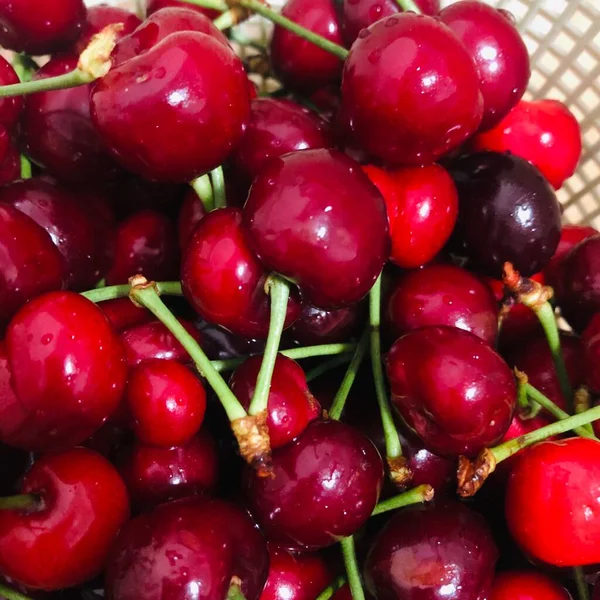 red and green cherries on a white background