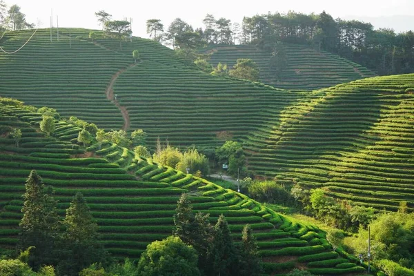 beautiful landscape of the valley in the morning